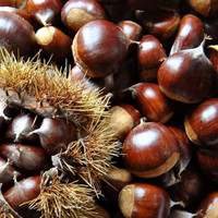 کنسرو شاه بلوط (water chestnut) 567 گرمی تایلندی