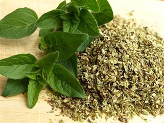 ادویه ارگانو (اورگانو) بایارا (bayara) ۵۰۰ گرم organo