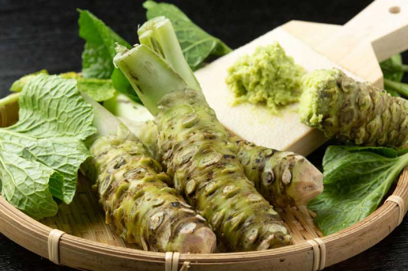 پودر واسابی ژاپنی Wasabi